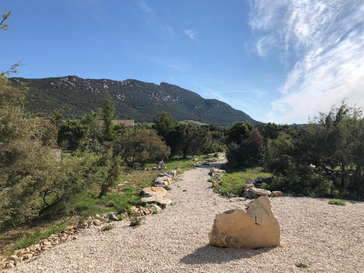 Le Domaine Du Cade-Gites D'Exception 4Etoiles "La Villa Du Cade" Cazevieille Eksteriør billede