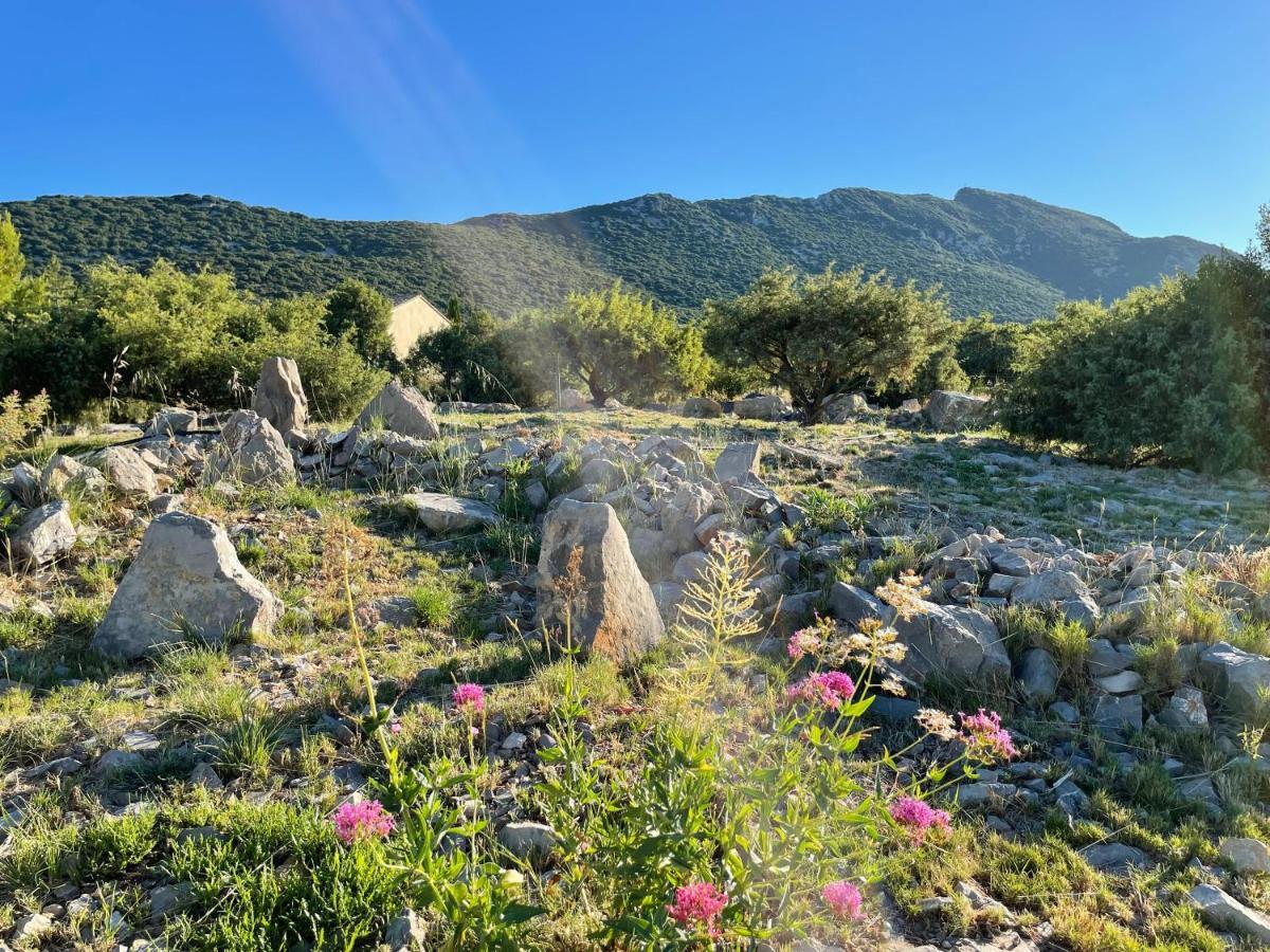 Le Domaine Du Cade-Gites D'Exception 4Etoiles "La Villa Du Cade" Cazevieille Eksteriør billede